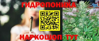 ECSTASY Кандалакша