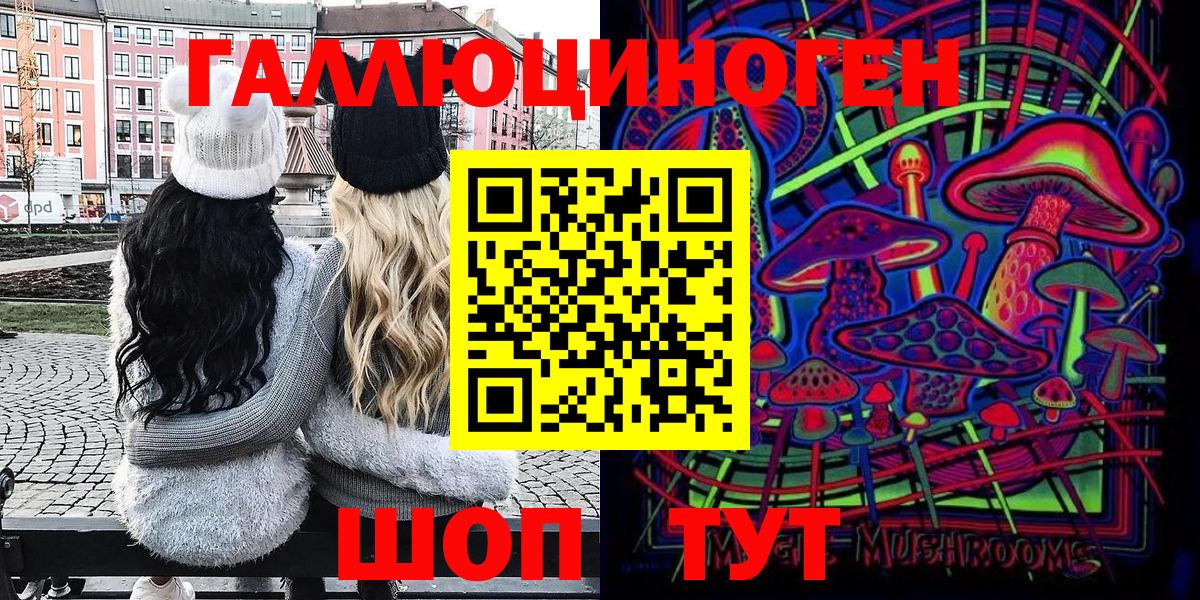 Псилоцибиновые грибы Psilocybe Донецк