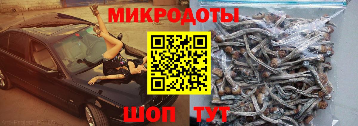 Псилоцибиновые грибы MAGIC MUSHROOMS  Вход с VPN  Донецк 